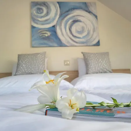 Silver Affittacamere 3*