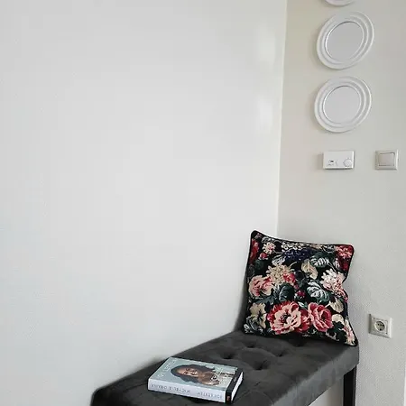 Silver Affittacamere