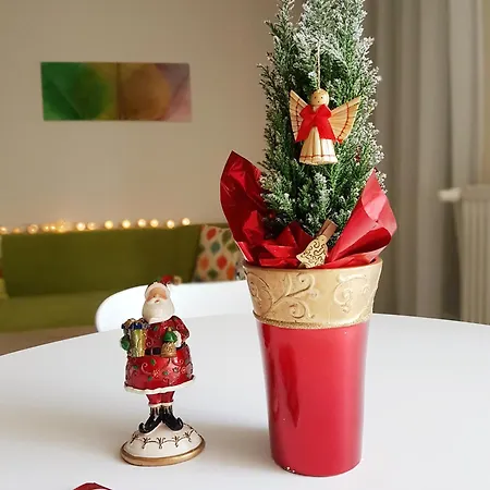 Affittacamere Silver 3*